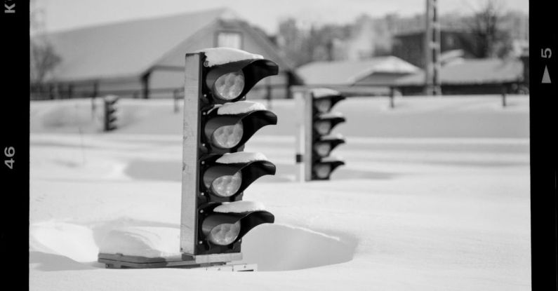 Adverse Weather - A black and white photo of a traffic light in the snow